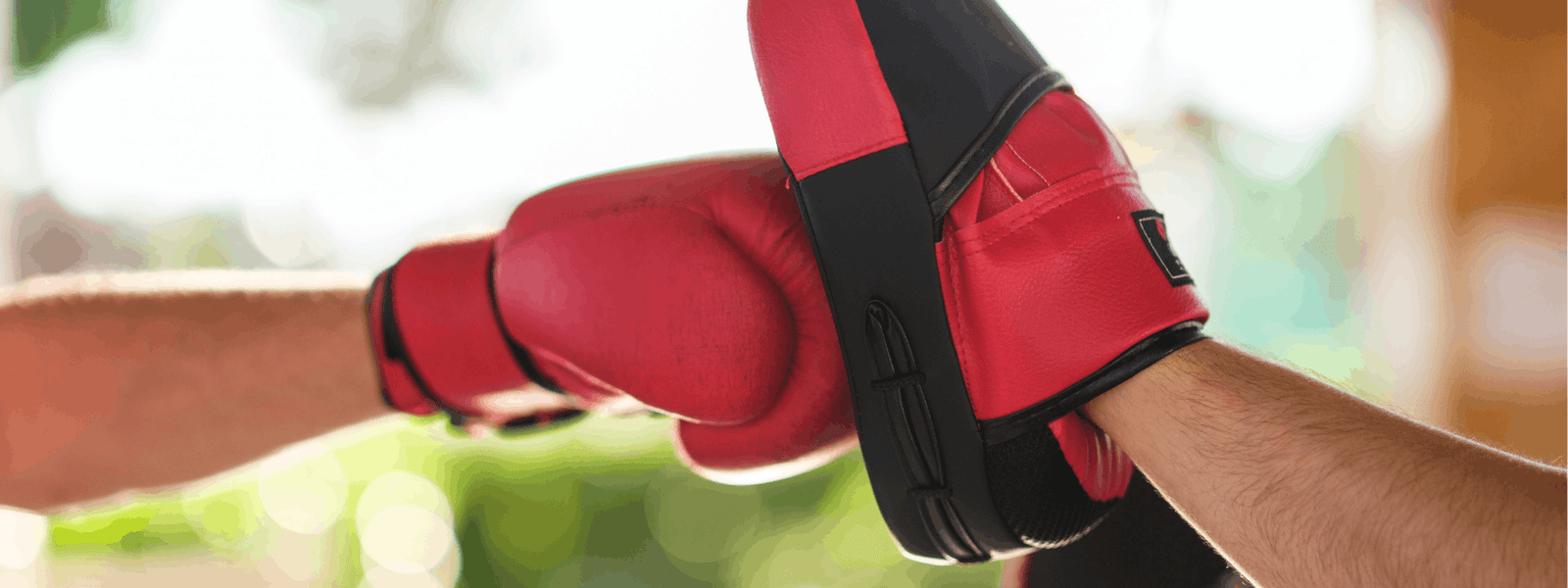 Entraînement de boxe et combat rapproché Mission Alpha avec gants et pattes d'ours