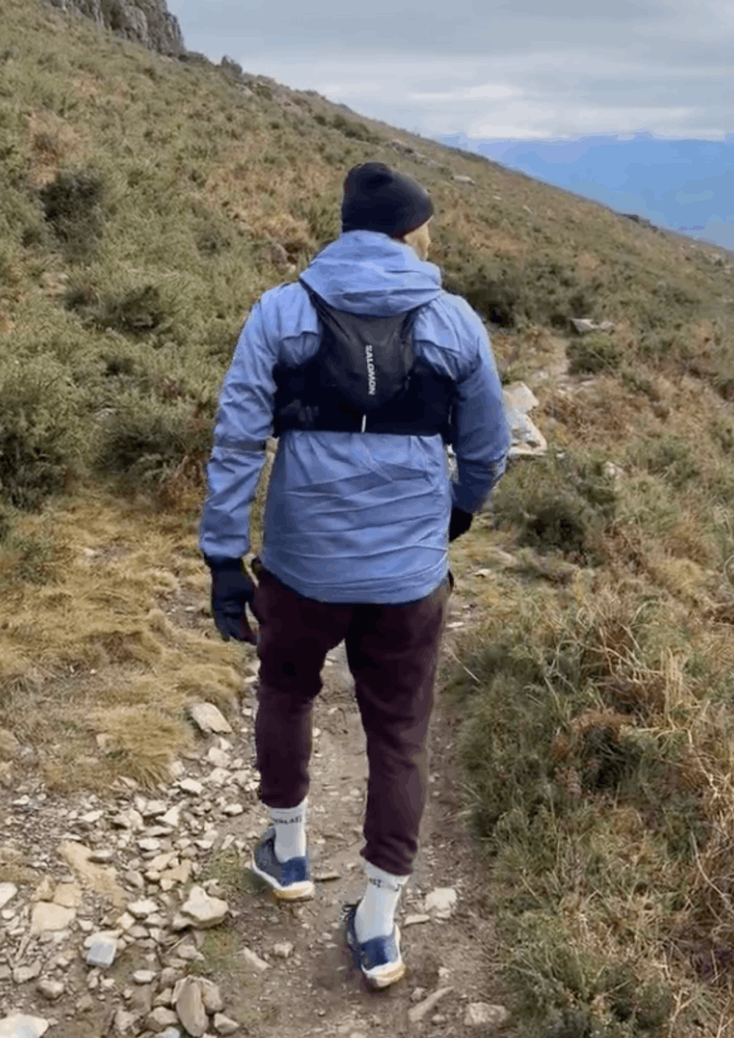 Kamel en randonnée dans la montagne