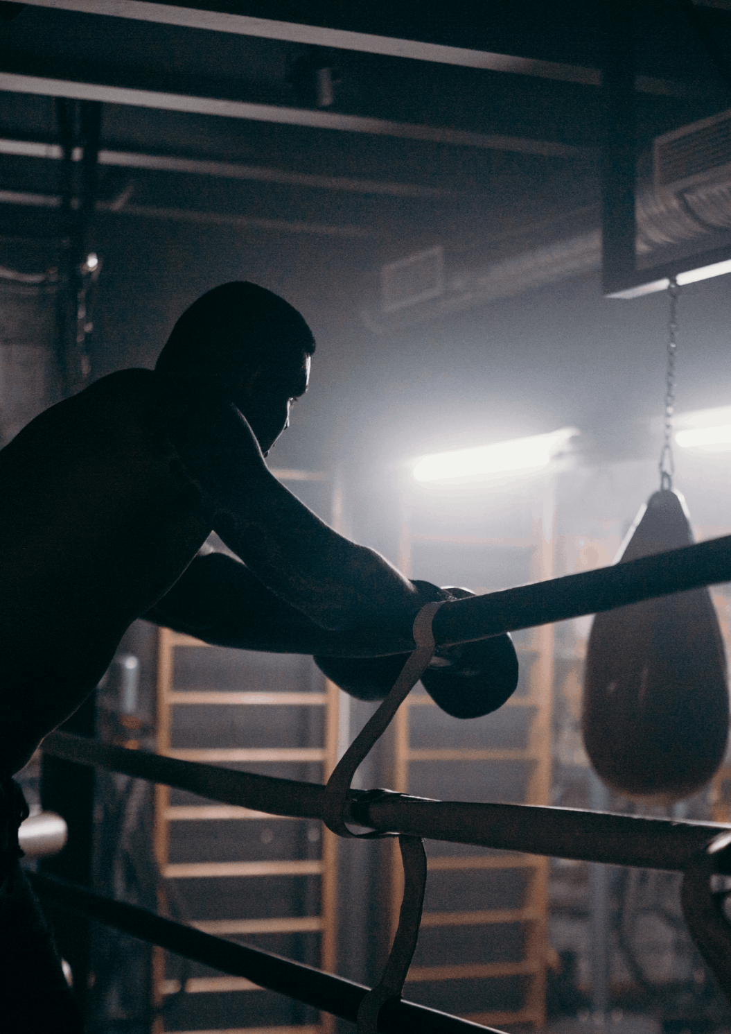 Kamel à l'entraînement sur un ring de boxe